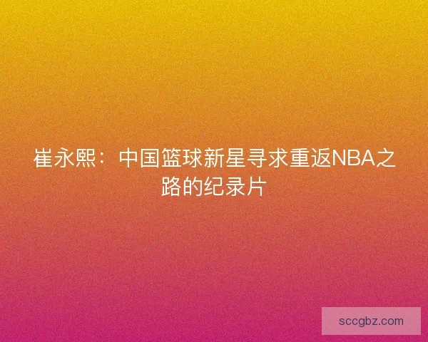 崔永熙：中国篮球新星寻求重返NBA之路的纪录片