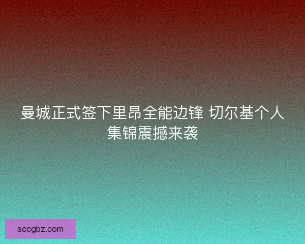 曼城正式签下里昂全能边锋 切尔基个人集锦震撼来袭