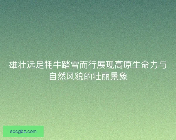 雄壮远足牦牛踏雪而行展现高原生命力与自然风貌的壮丽景象