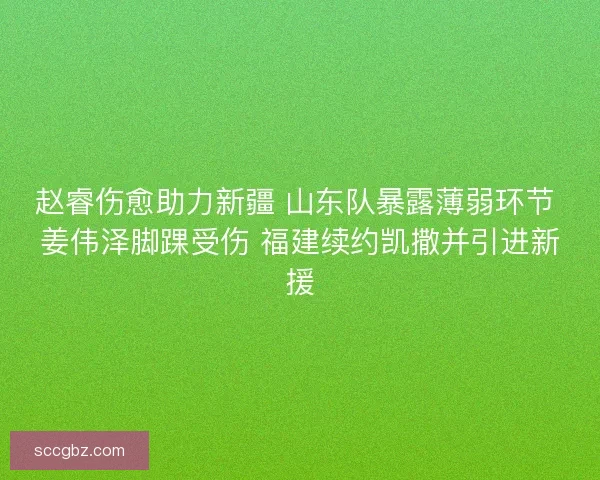 赵睿伤愈助力新疆 山东队暴露薄弱环节 姜伟泽脚踝受伤 福建续约凯撒并引进新援