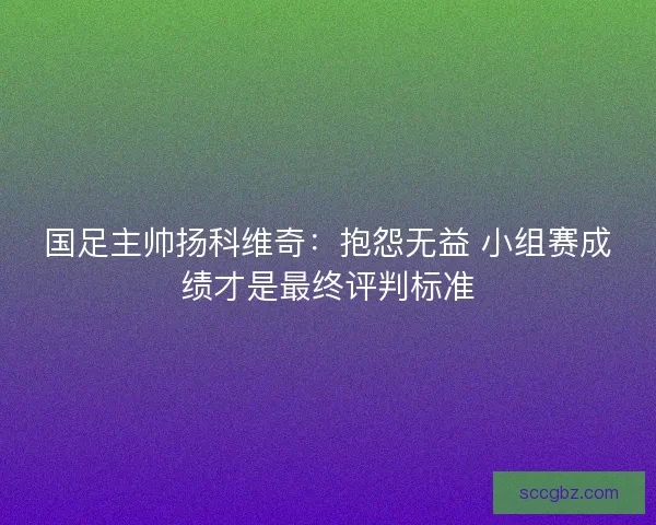 国足主帅扬科维奇:抱怨无益 小组赛成绩才是最终评判标准 国足主帅扬科维奇:抱怨无益 小组赛成绩才是最终评判标准